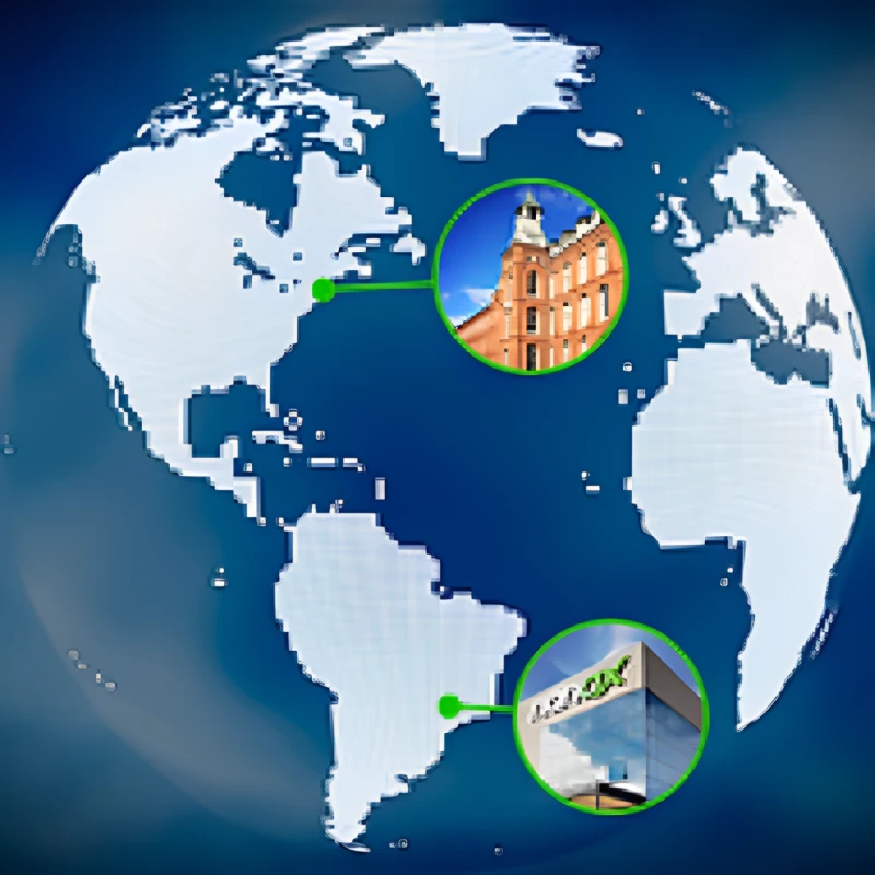 STRUCTURE AND GLOBAL PRESENCE