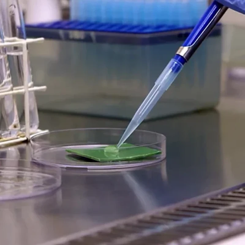 WHEN THERE’S NO WIND, ROW